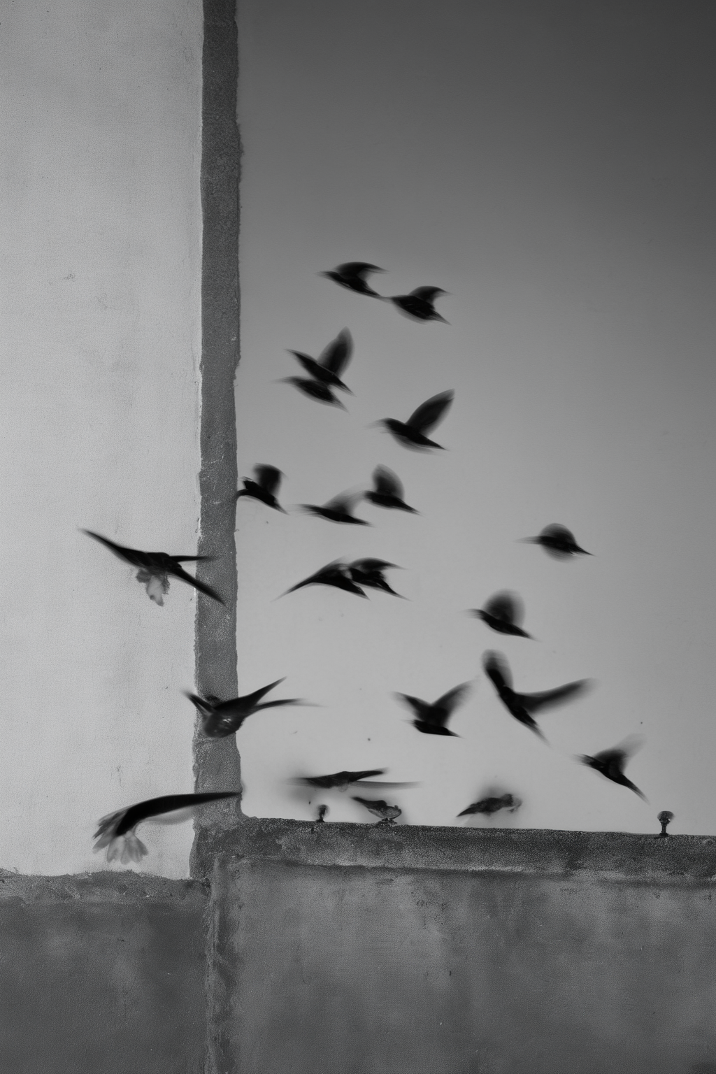 00075-382044854-_lora_Photographer Elena Helfrecht Style_1_Photographer Elena Helfrecht Style - a flock of birds flying around a building next t.png